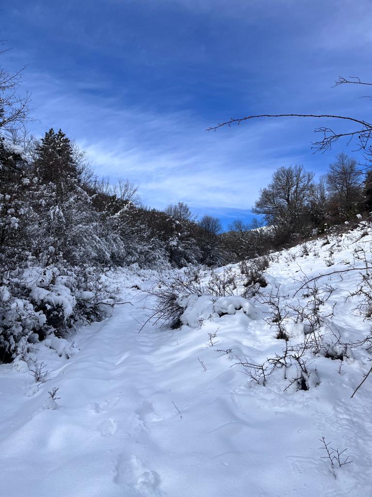 Fotos: La nieve deja blancos los montes de El Rasillo y Ortigosa