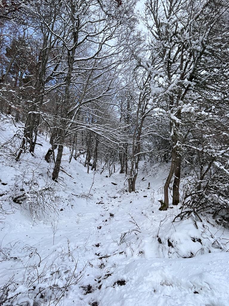 Fotos: La nieve deja blancos los montes de El Rasillo y Ortigosa