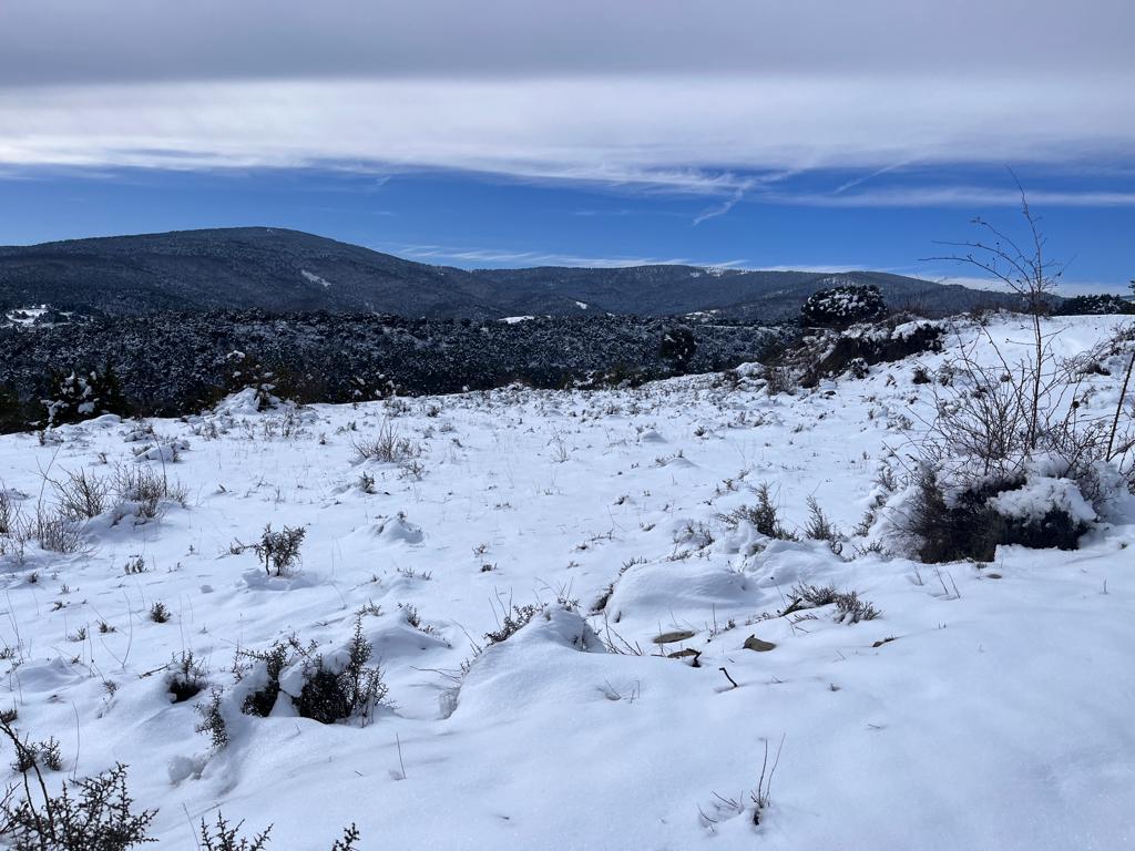 Fotos: La nieve deja blancos los montes de El Rasillo y Ortigosa