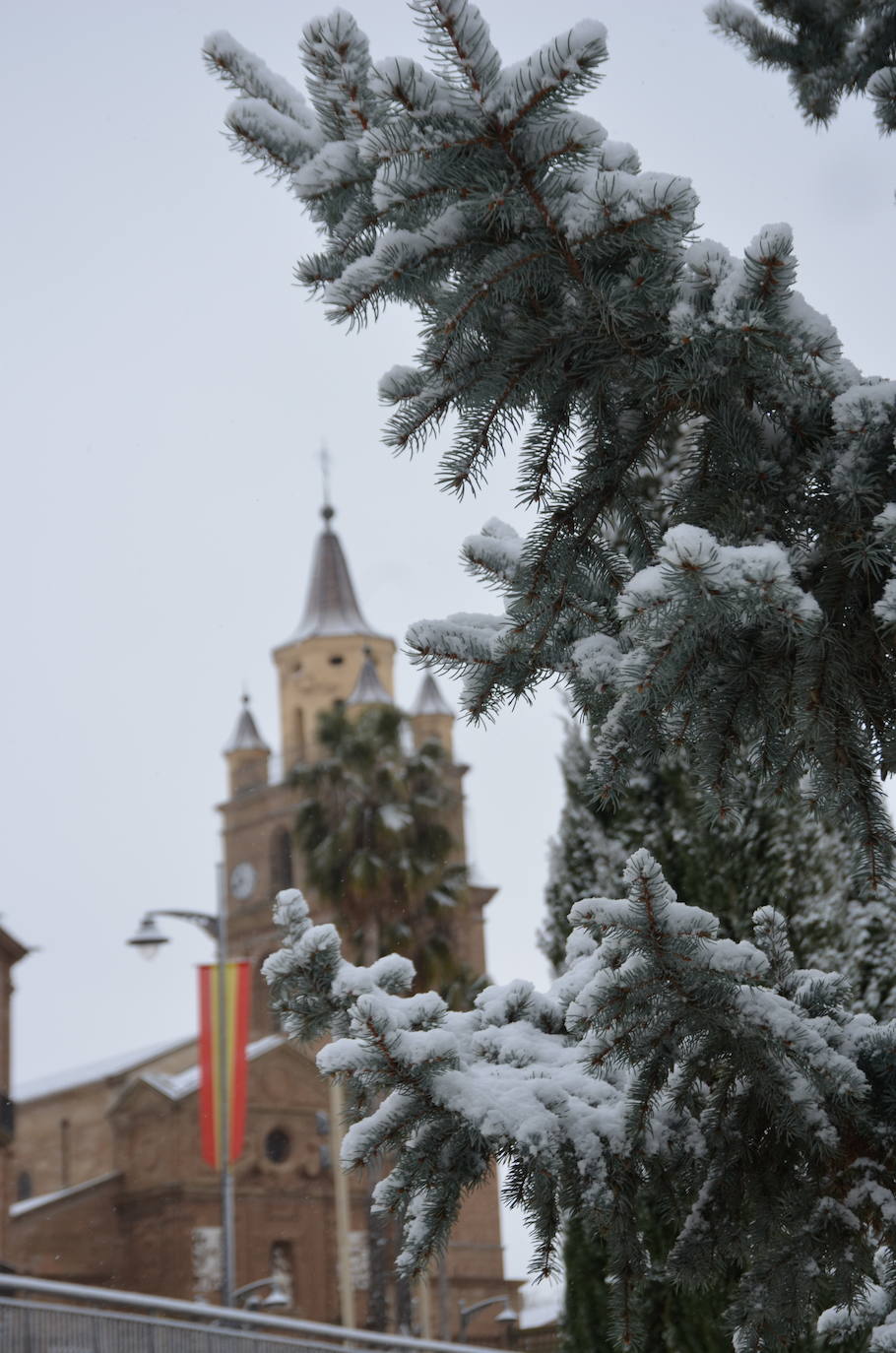 Fotos: Calahorra, epicentro de la nevada en el valle del Ebro