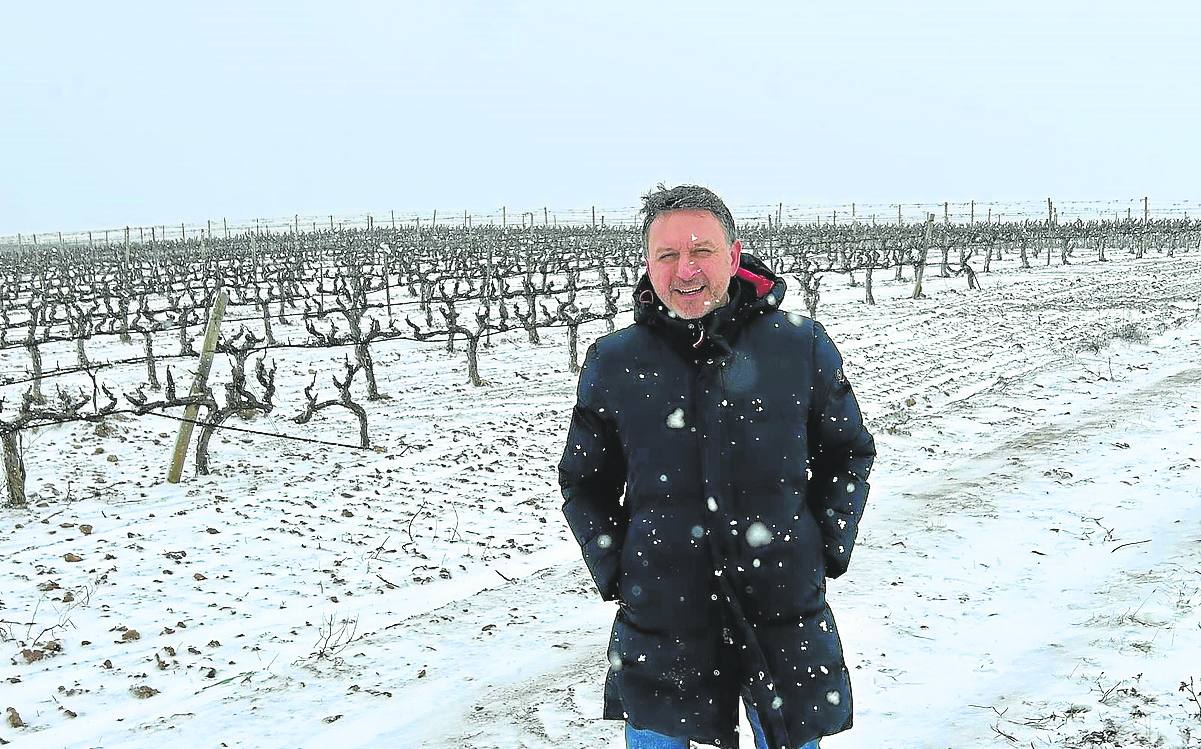 Abel Torres, gerente de la cooperativa Viñedos de Aldeanueva de Ebro, durante la nevada del lunes. 