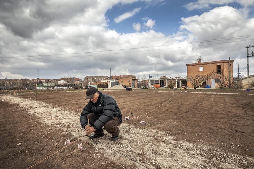 Terrenos rústicos que Aurelio Martínez ha acondicionado para ofrecer nuevos huertos desde la asociación que creó hace 11 años. 