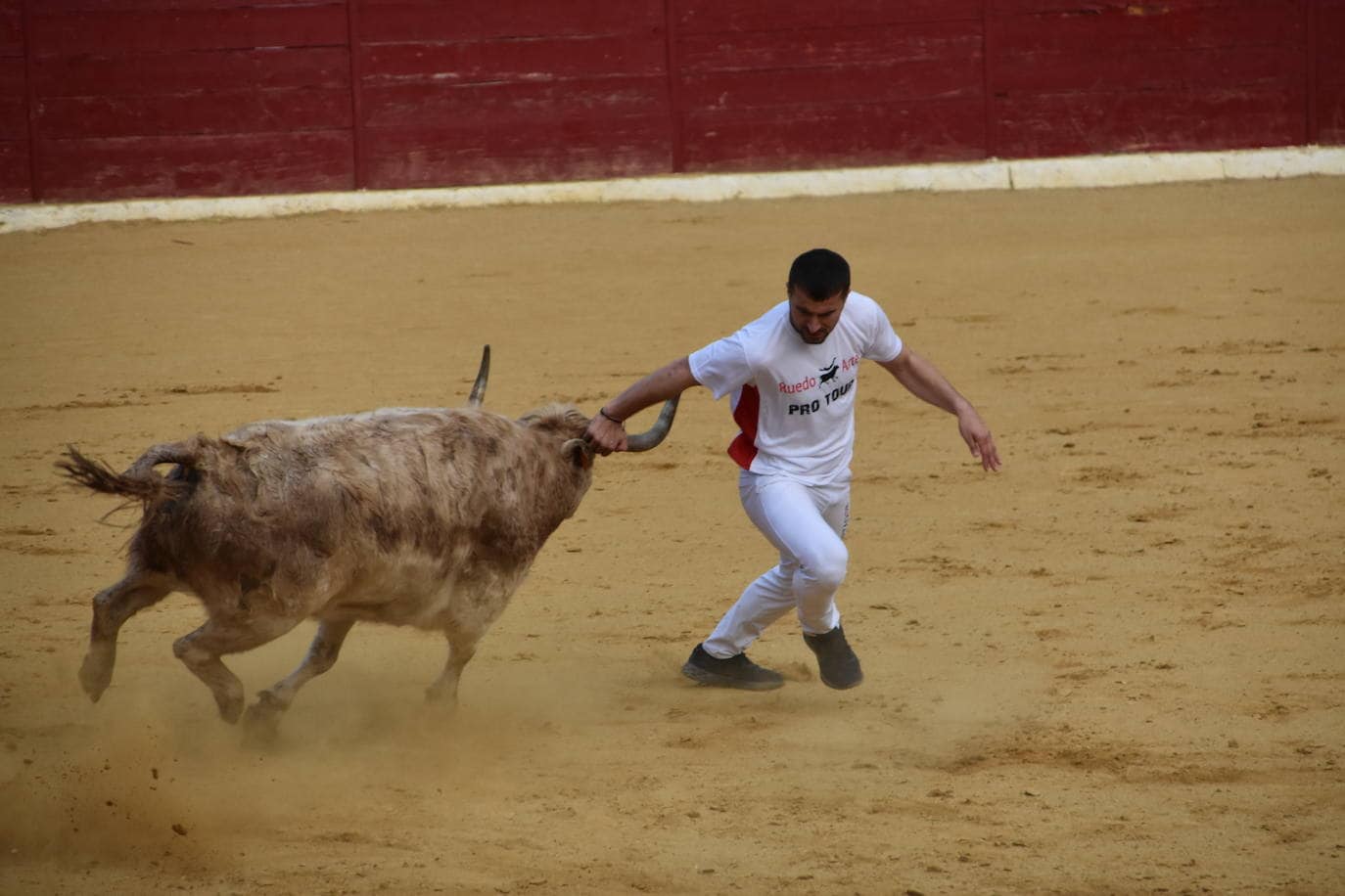 Fotos: Gigantes, cabezudos y recortadores para el cierre de fiestas de Calahorra