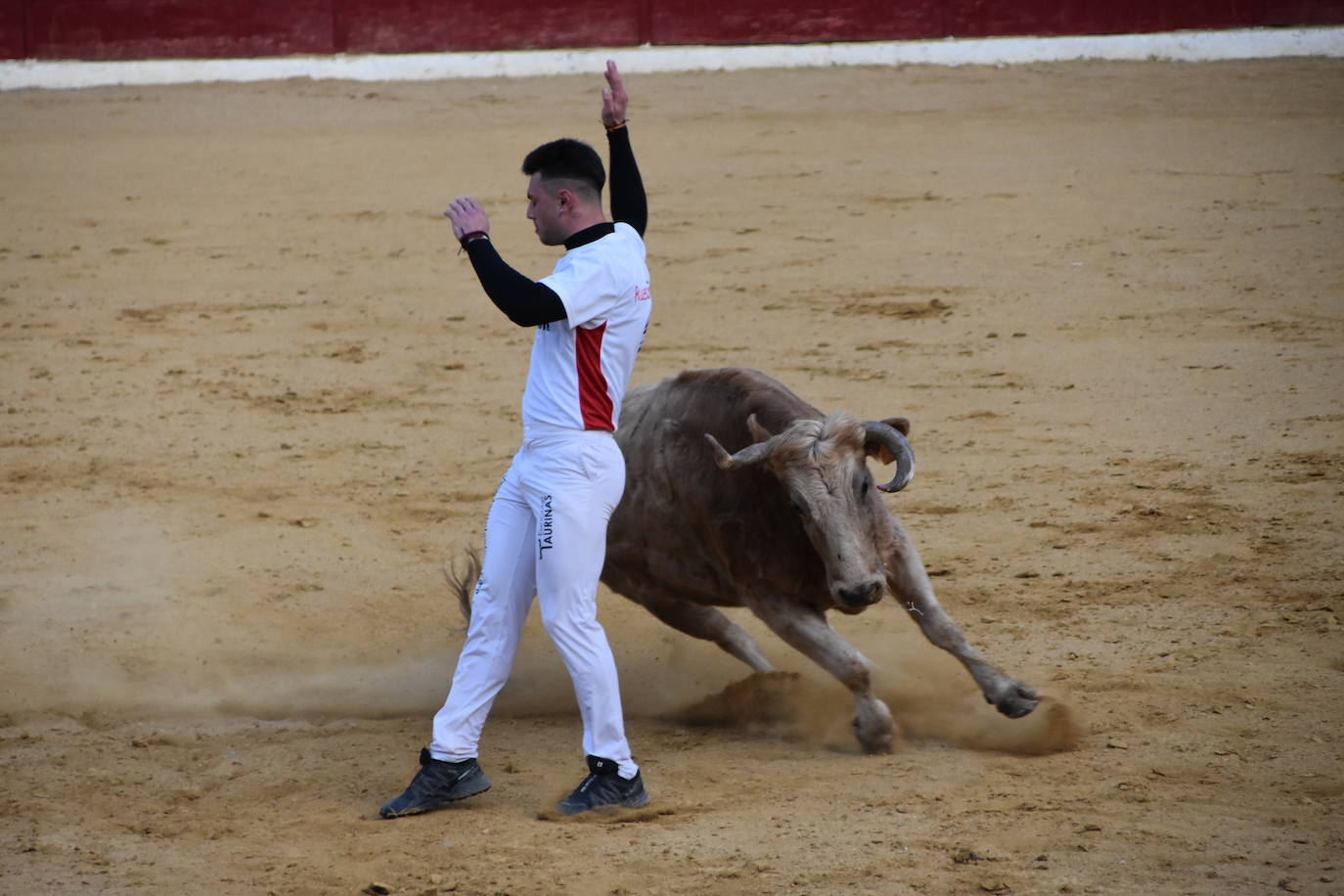 Fotos: Gigantes, cabezudos y recortadores para el cierre de fiestas de Calahorra