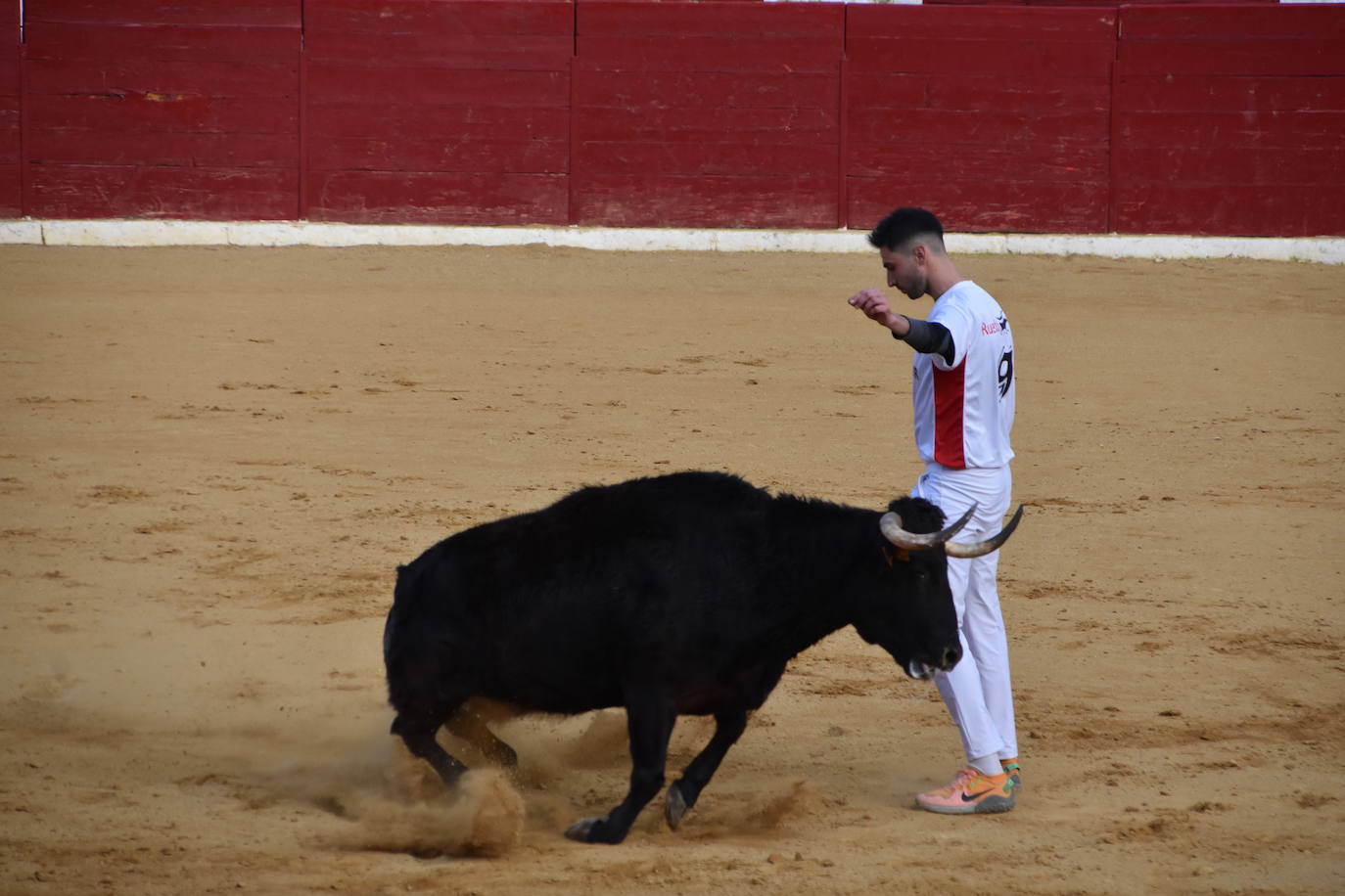 Fotos: Gigantes, cabezudos y recortadores para el cierre de fiestas de Calahorra