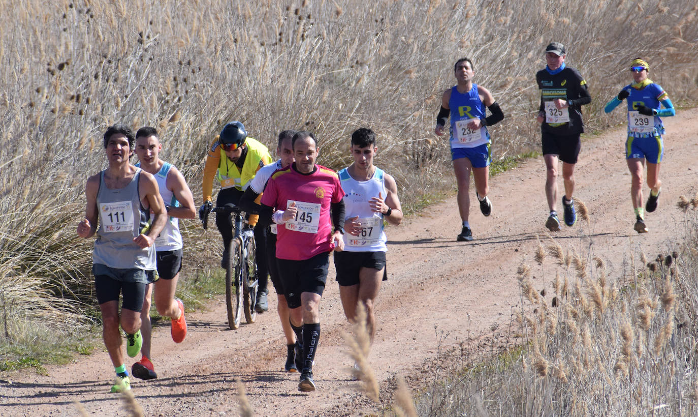 Fotos: El najerino David Martínez se impone en la Media Maratón del Camino