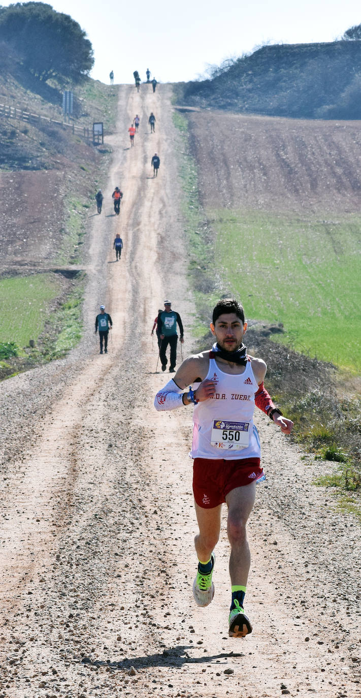 Fotos: El najerino David Martínez se impone en la Media Maratón del Camino