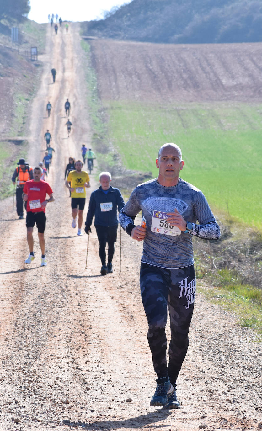 Fotos: El najerino David Martínez se impone en la Media Maratón del Camino