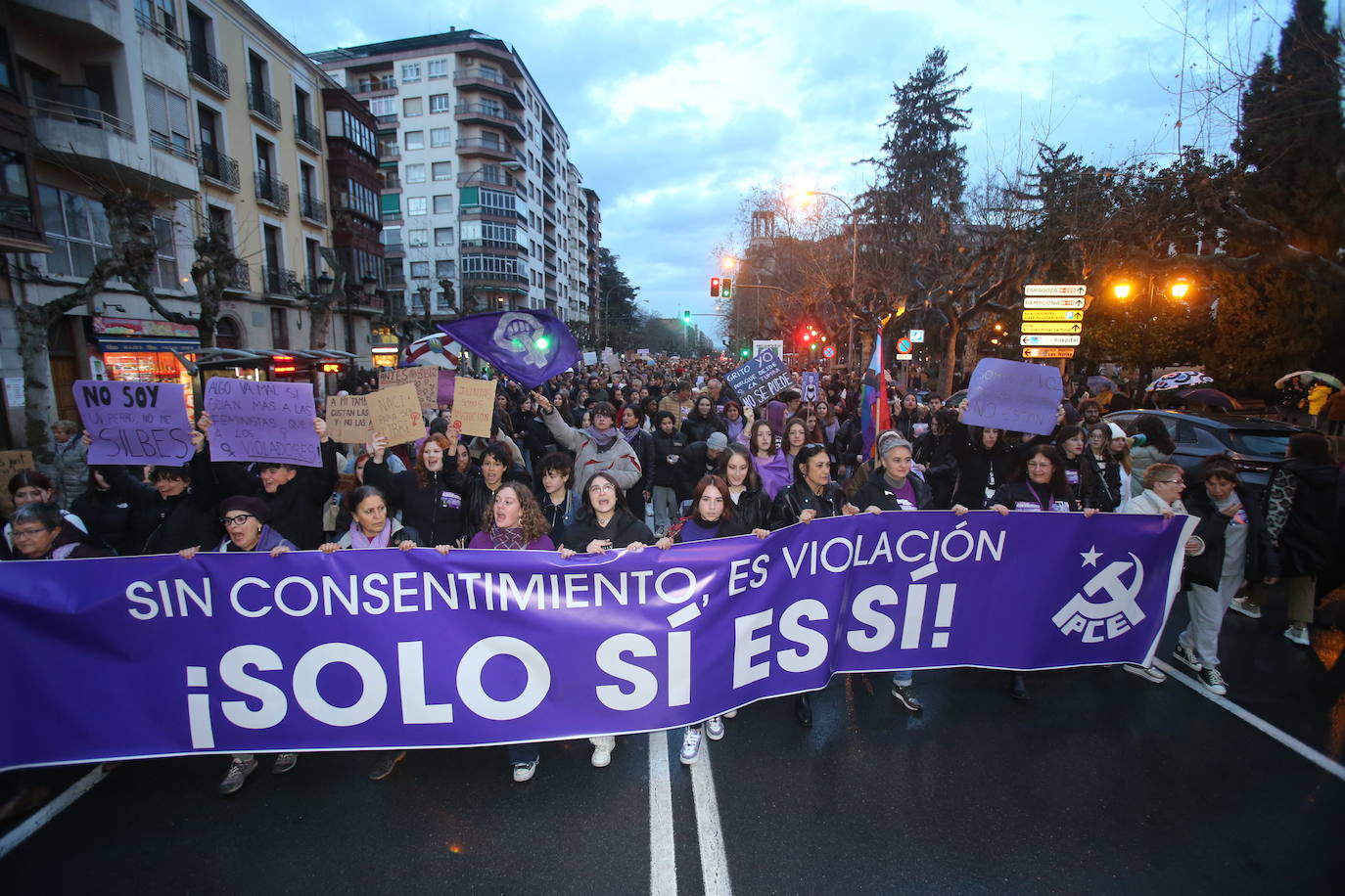 Fotos: Manifestación del 8M en Logroño bajo la lluvia