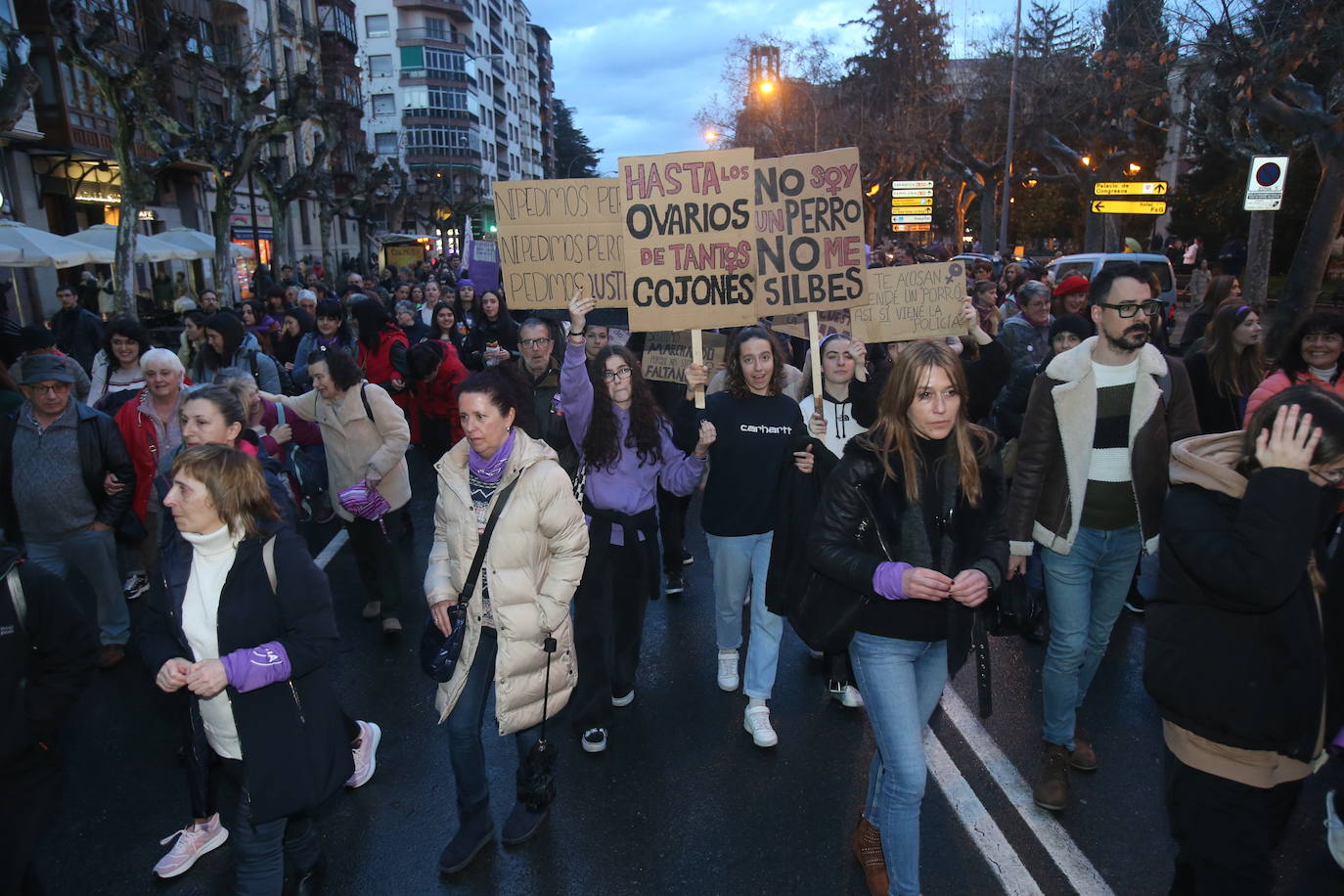 Fotos: Manifestación del 8M en Logroño bajo la lluvia