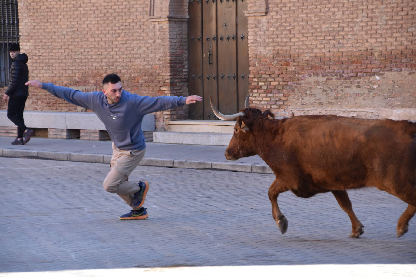 Encierro en Aldeanueva de Ebro