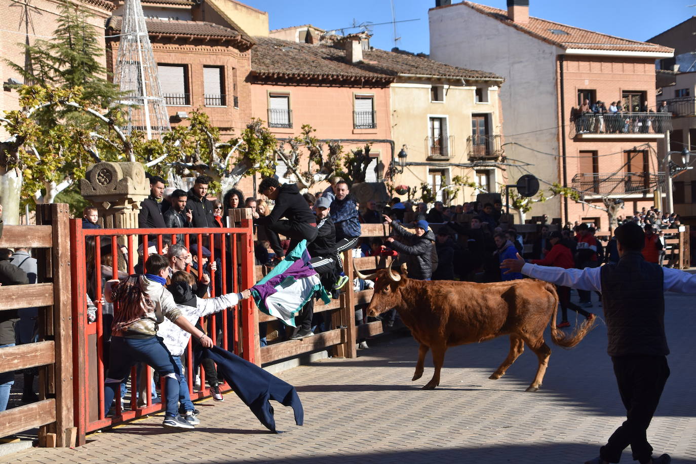 Encierro en Aldeanueva de Ebro