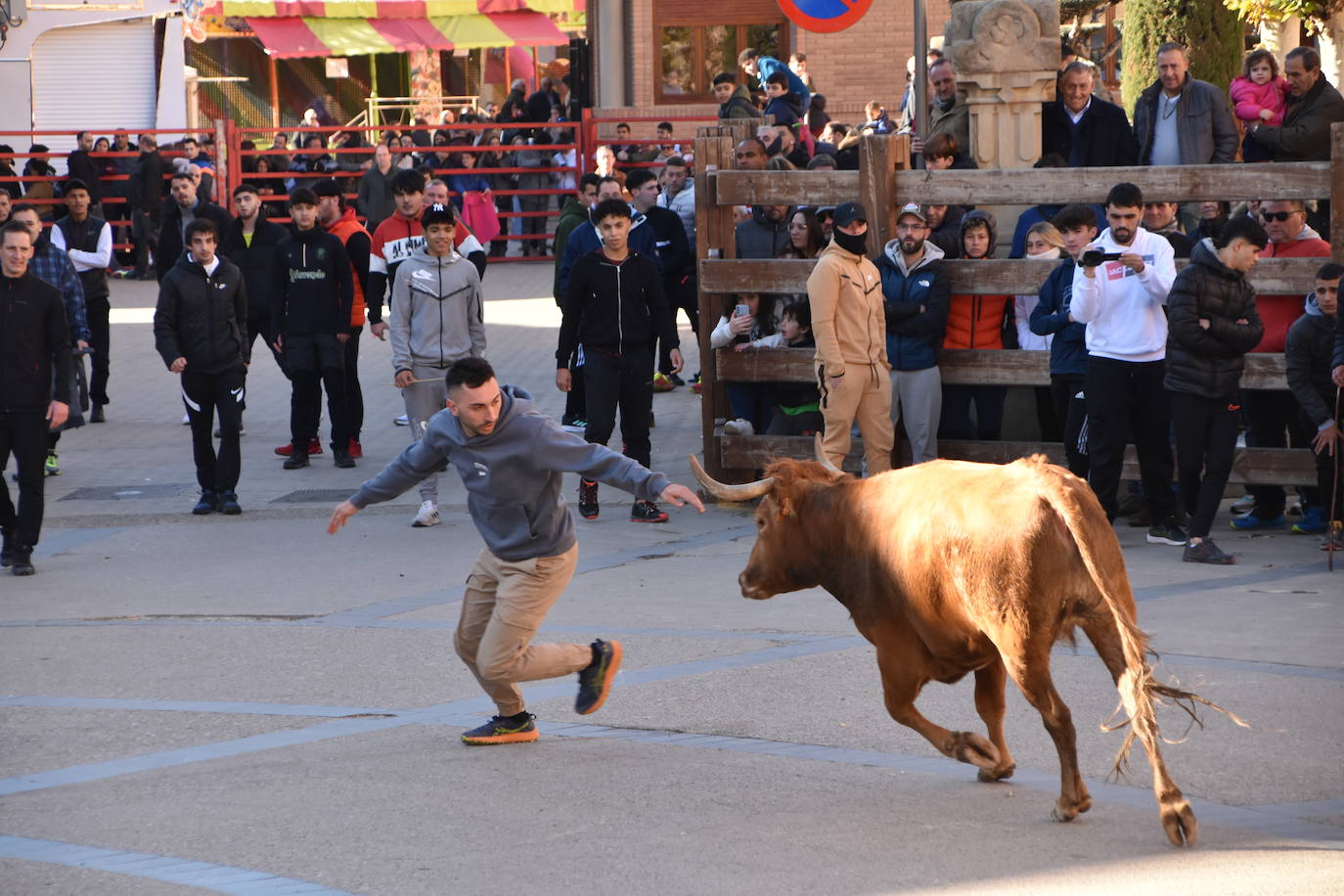 Encierro en Aldeanueva de Ebro