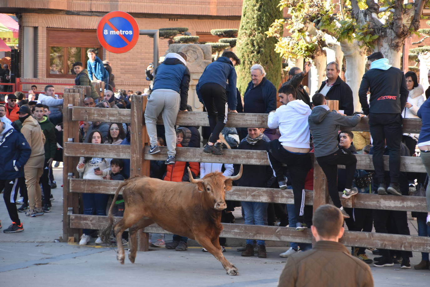 Encierro en Aldeanueva de Ebro