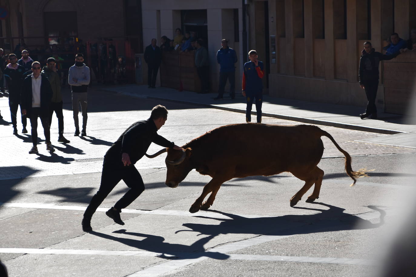 Encierro en Aldeanueva de Ebro