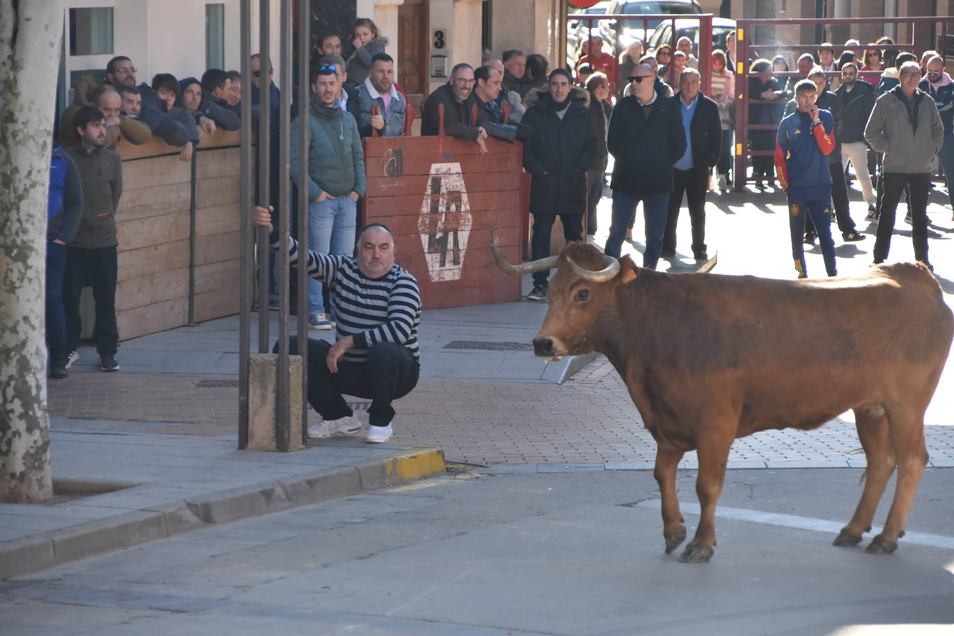 Encierro en Aldeanueva de Ebro