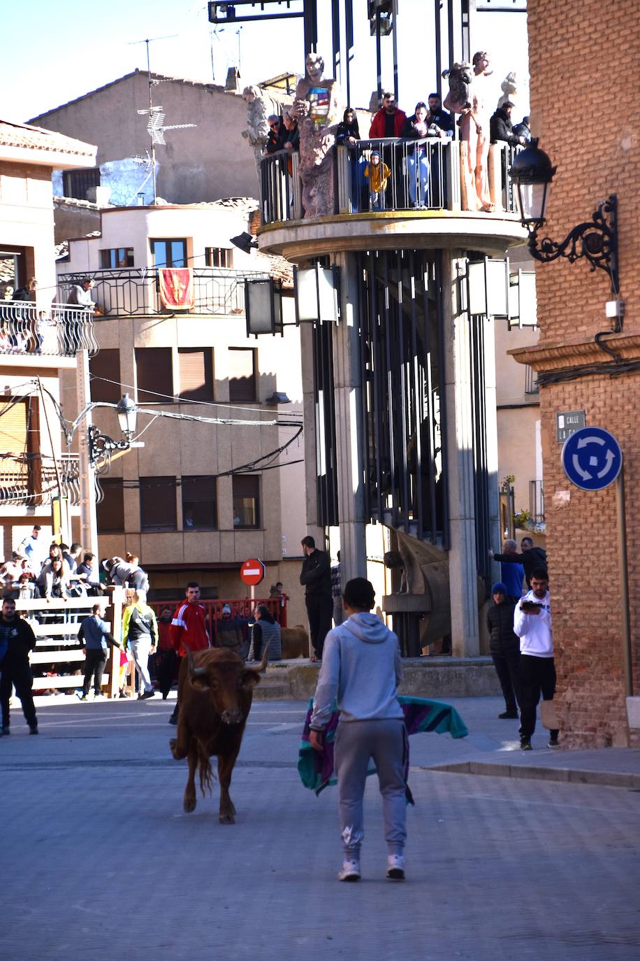 Encierro en Aldeanueva de Ebro