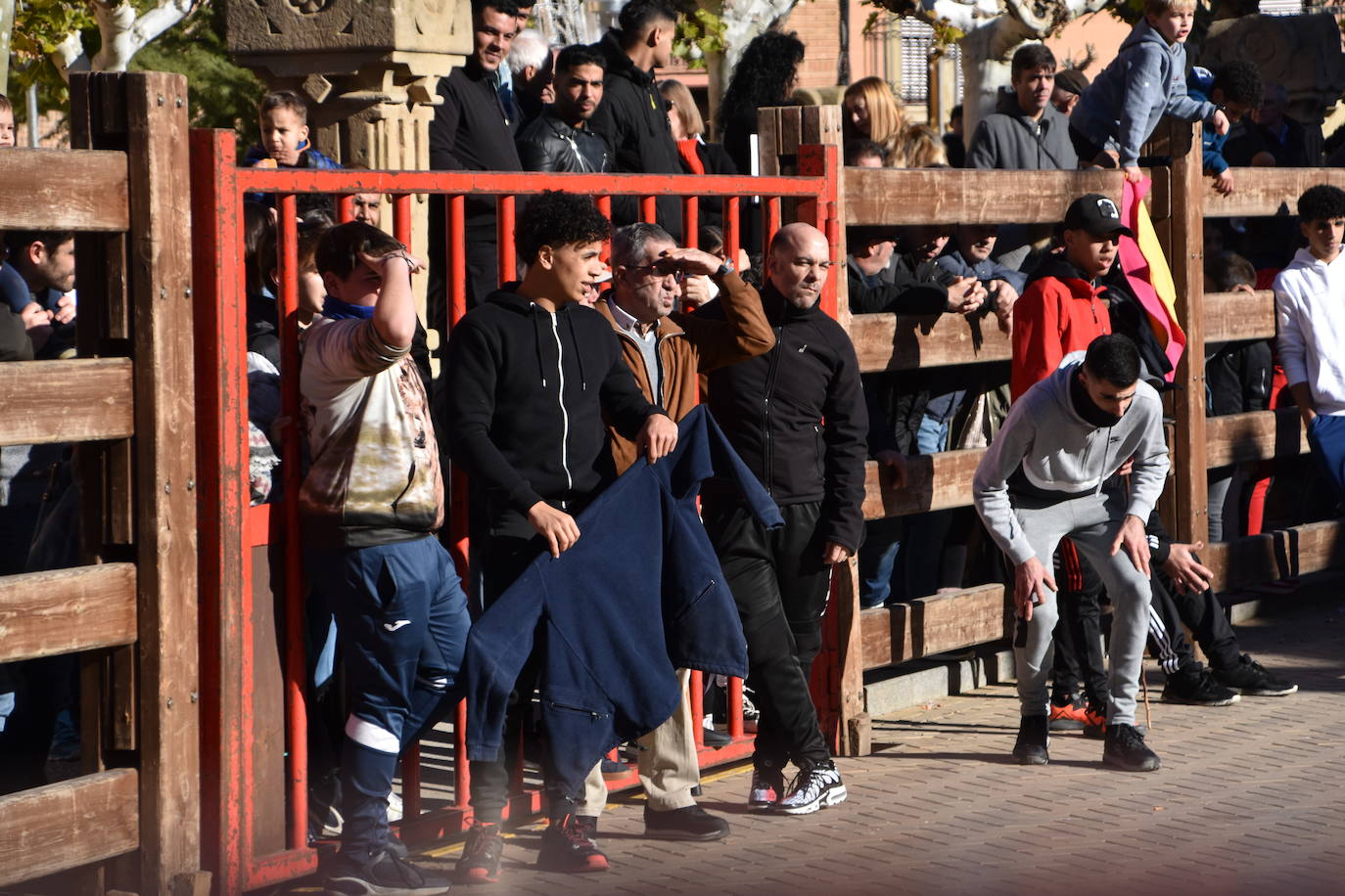 Encierro en Aldeanueva de Ebro