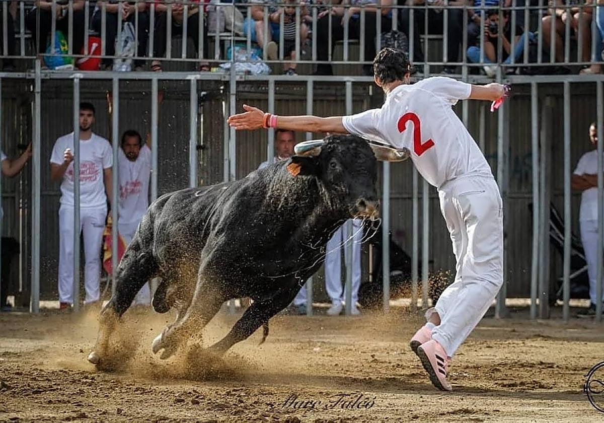 David Rodríguez, 'Crianza', durante un concurso de recortadores.