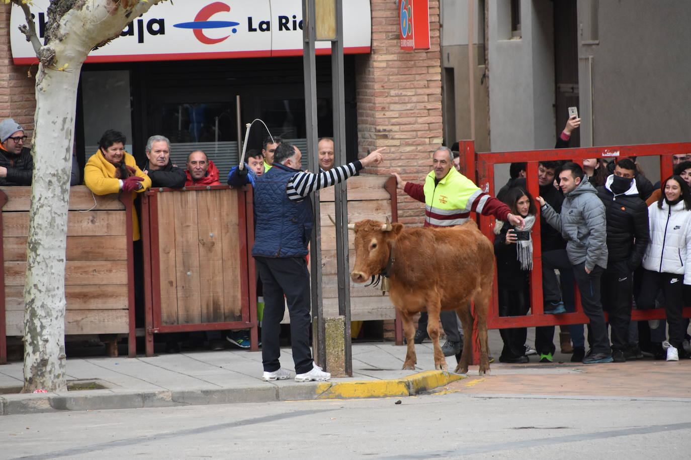 Las fiestas de invierno de Aldeanueva, en imágenes