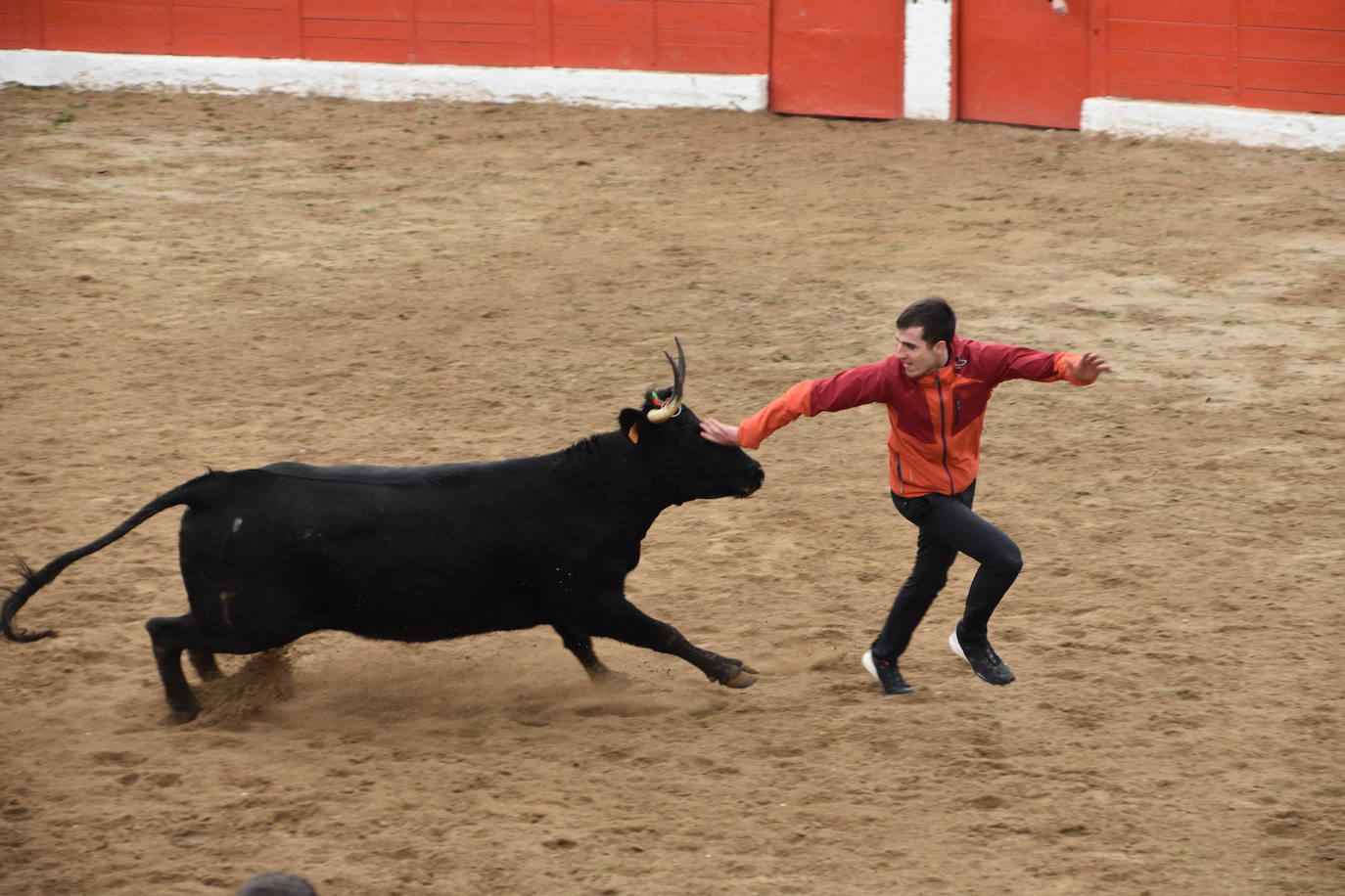 Las fiestas de invierno de Aldeanueva, en imágenes