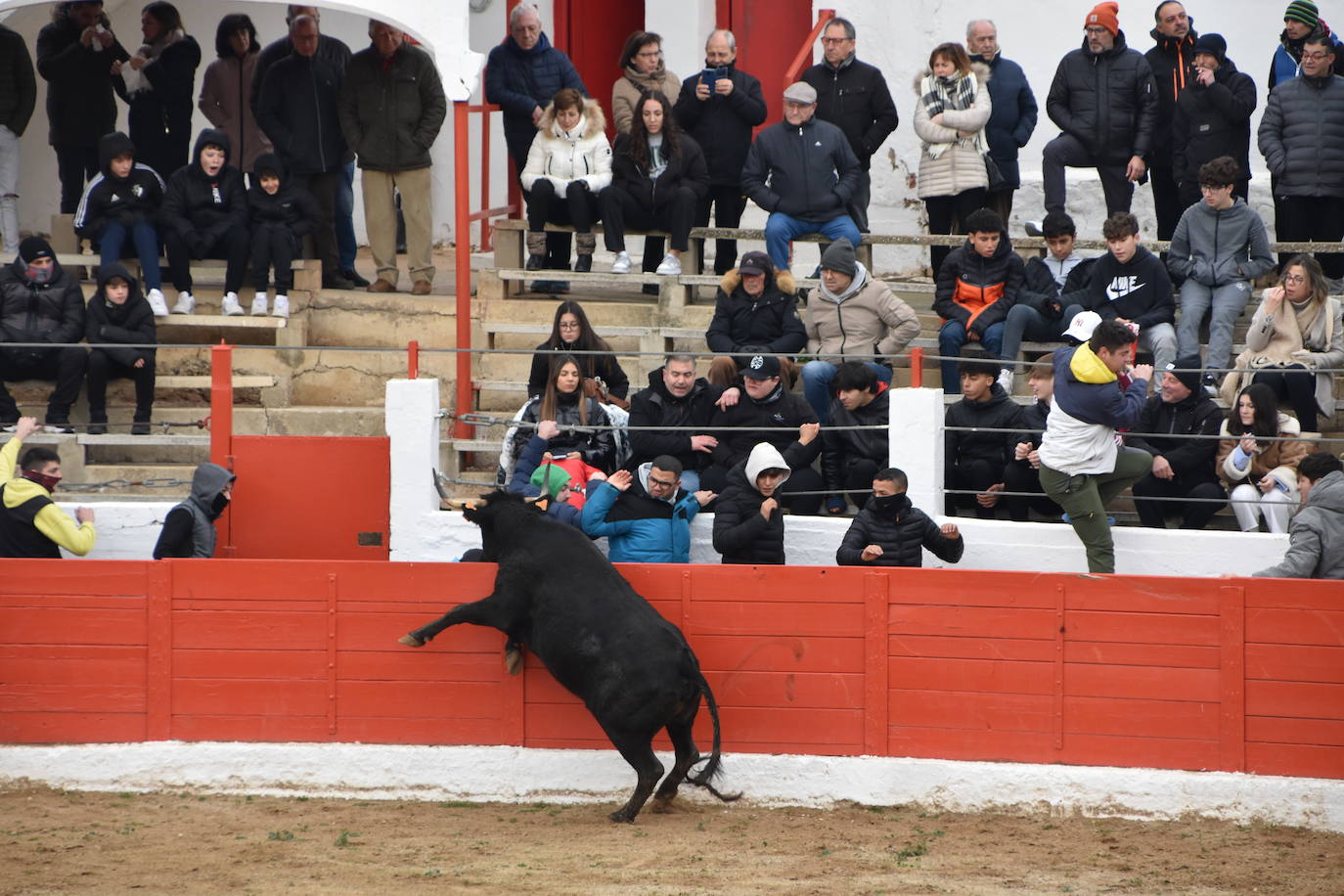 Las fiestas de invierno de Aldeanueva, en imágenes
