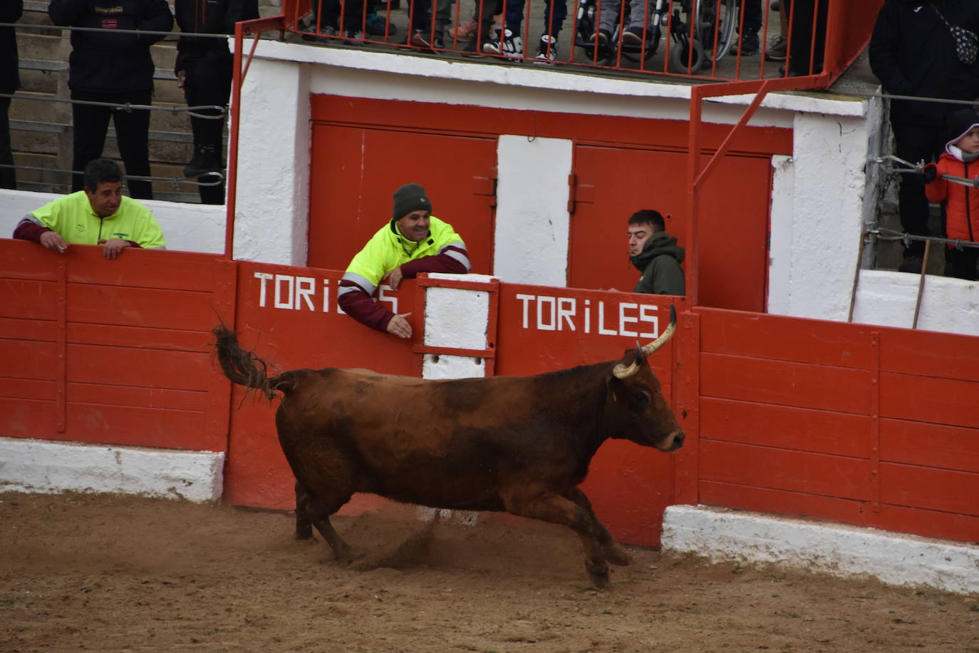 Las fiestas de invierno de Aldeanueva, en imágenes