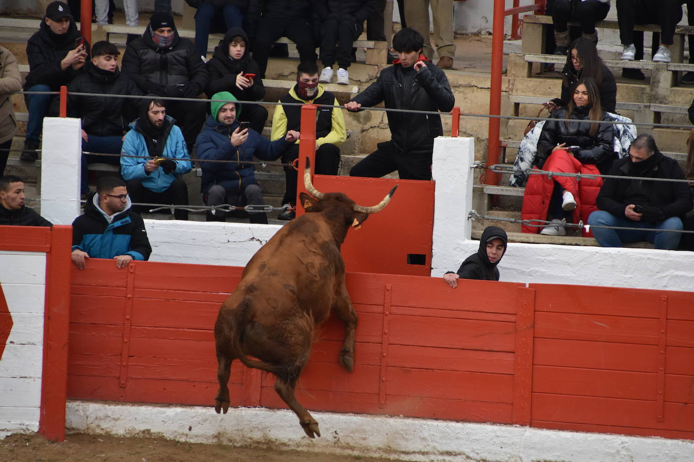 Las fiestas de invierno de Aldeanueva, en imágenes