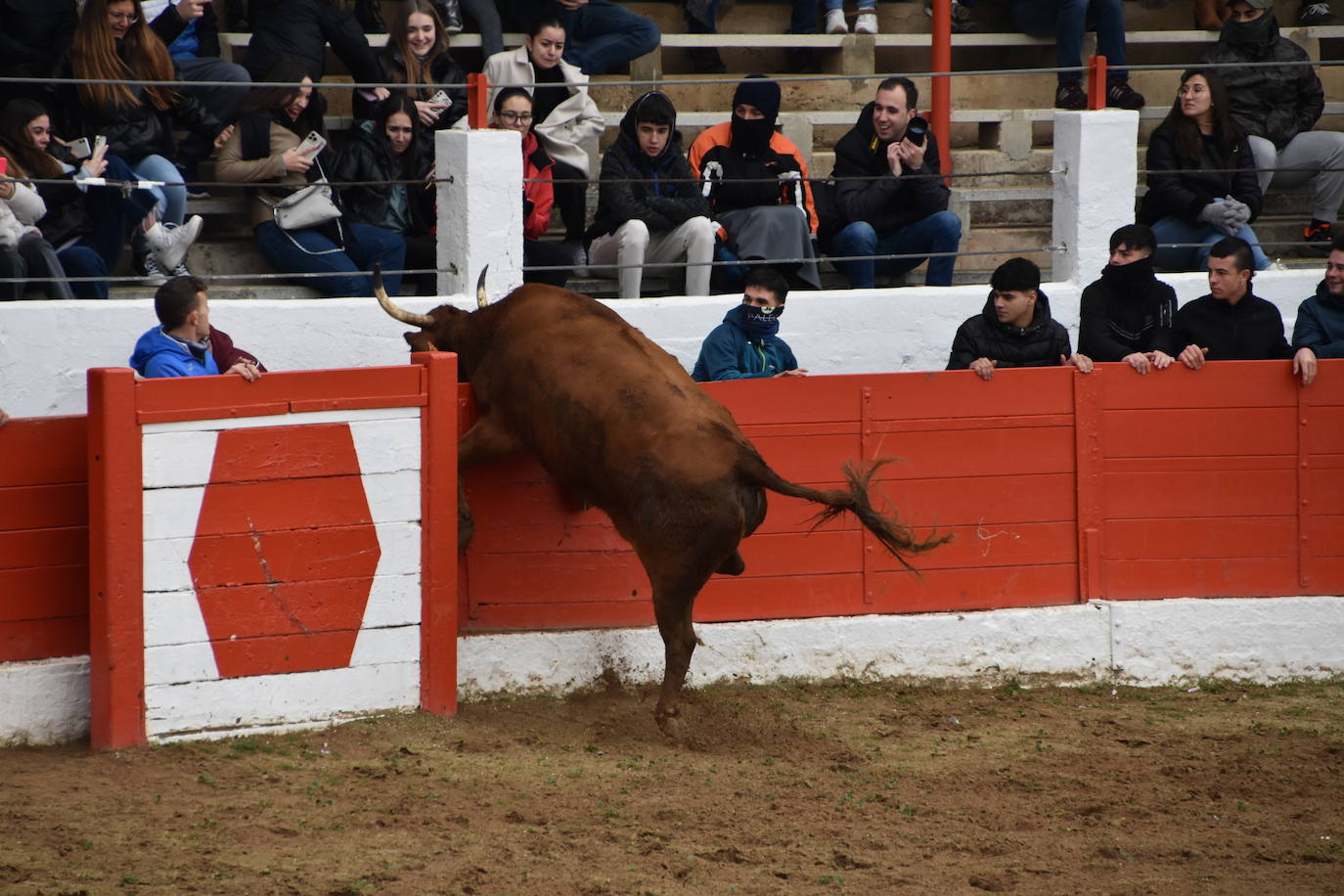 Las fiestas de invierno de Aldeanueva, en imágenes