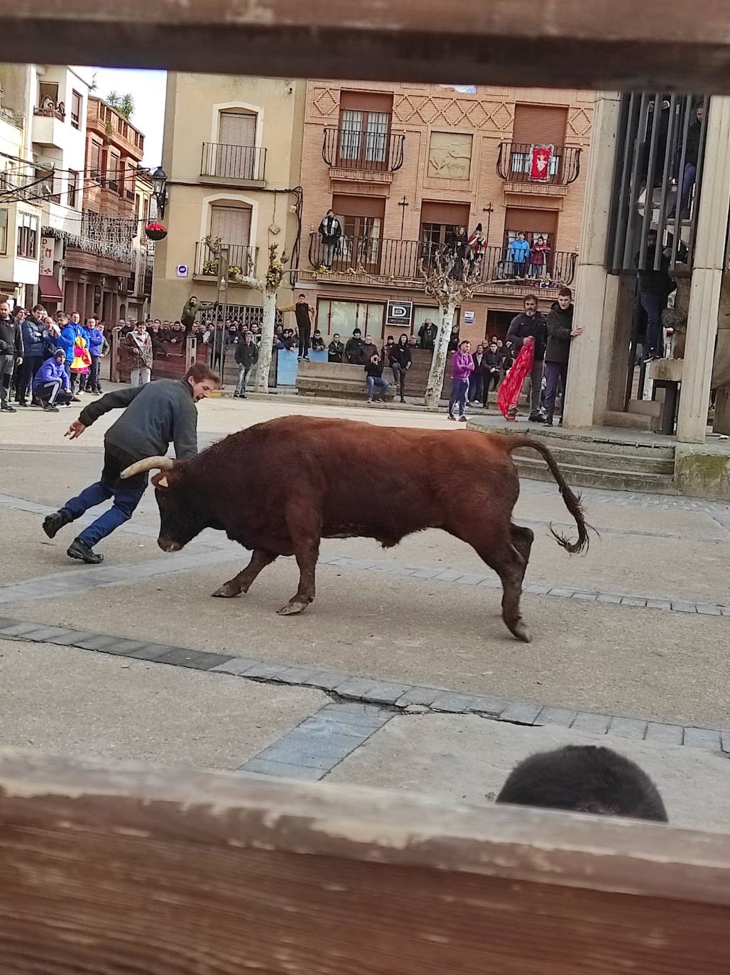 Las fiestas de invierno de Aldeanueva, en imágenes
