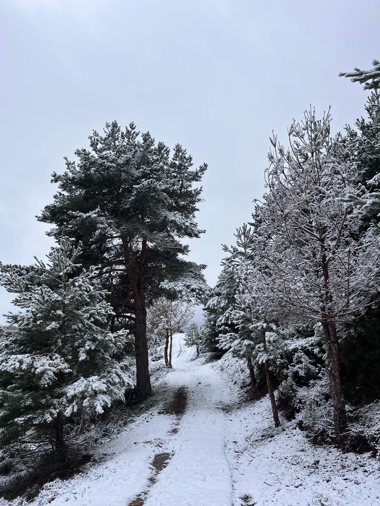 Primeras estampas de nieve en El Rasillo