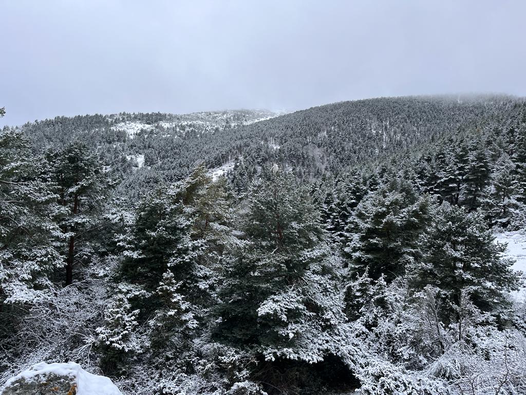 Primeras estampas de nieve en El Rasillo