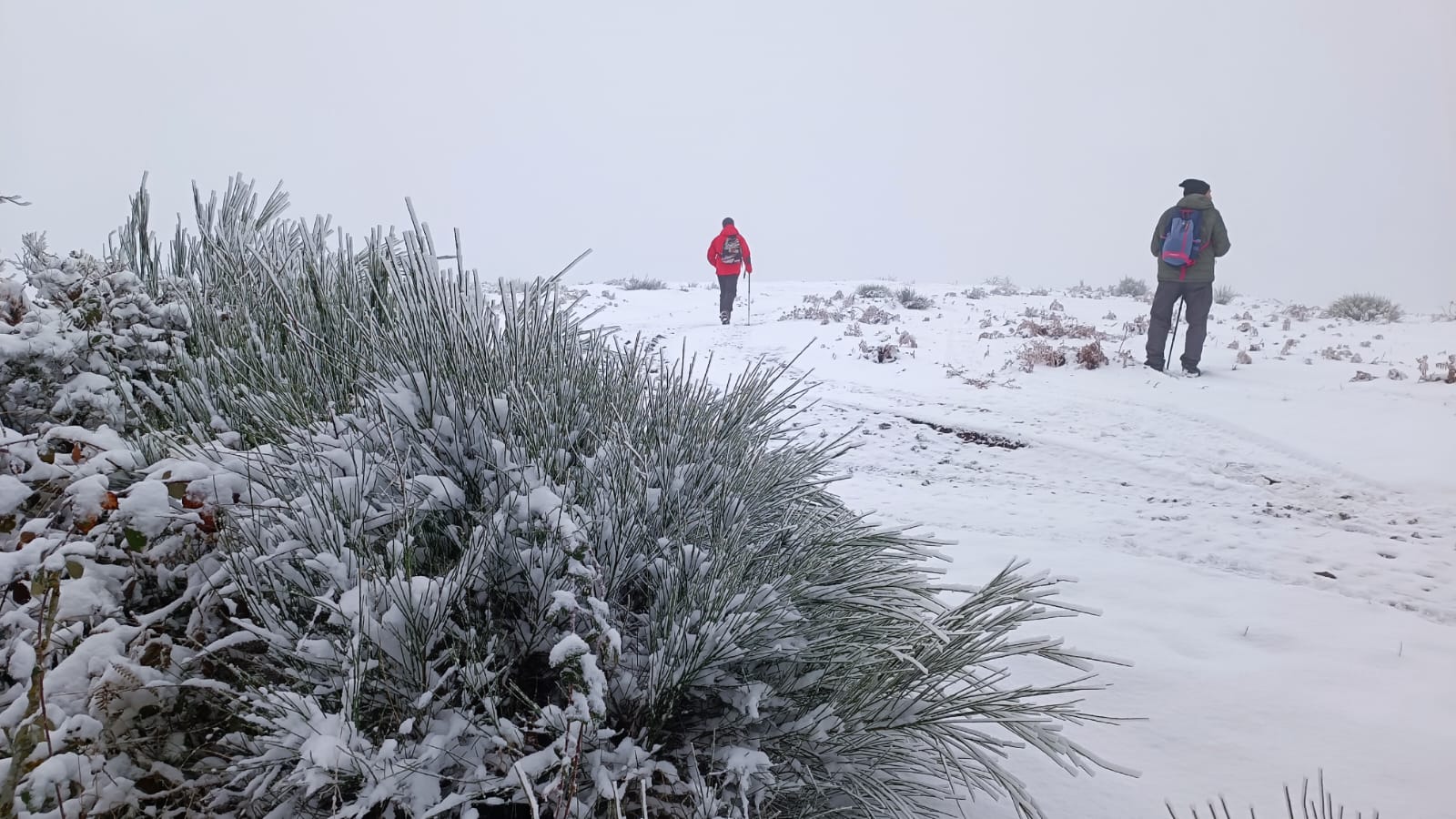 Nieve en Pazuengos en el primer domingo del año