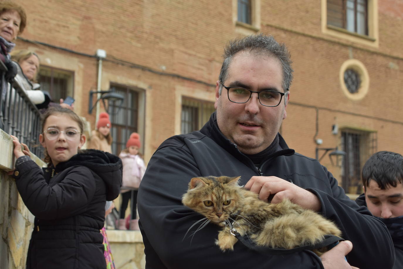 La bendición de San Antón, en imágenes
