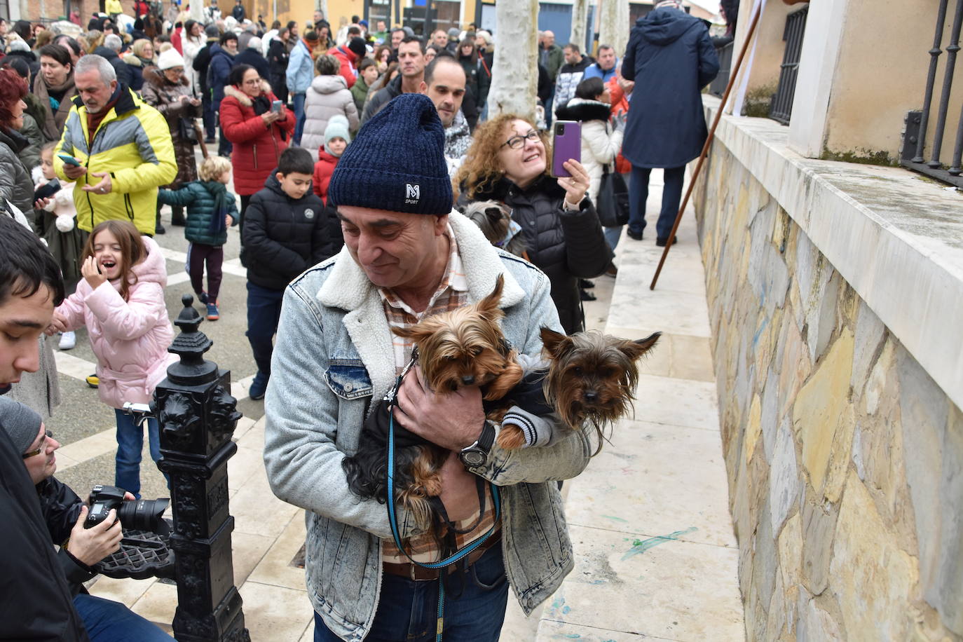 La bendición de San Antón, en imágenes