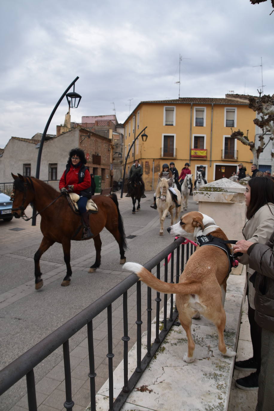 La bendición de San Antón, en imágenes