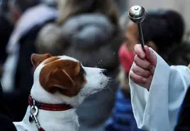 ¿Quién fue San Antón y por qué es el santo de los animales?