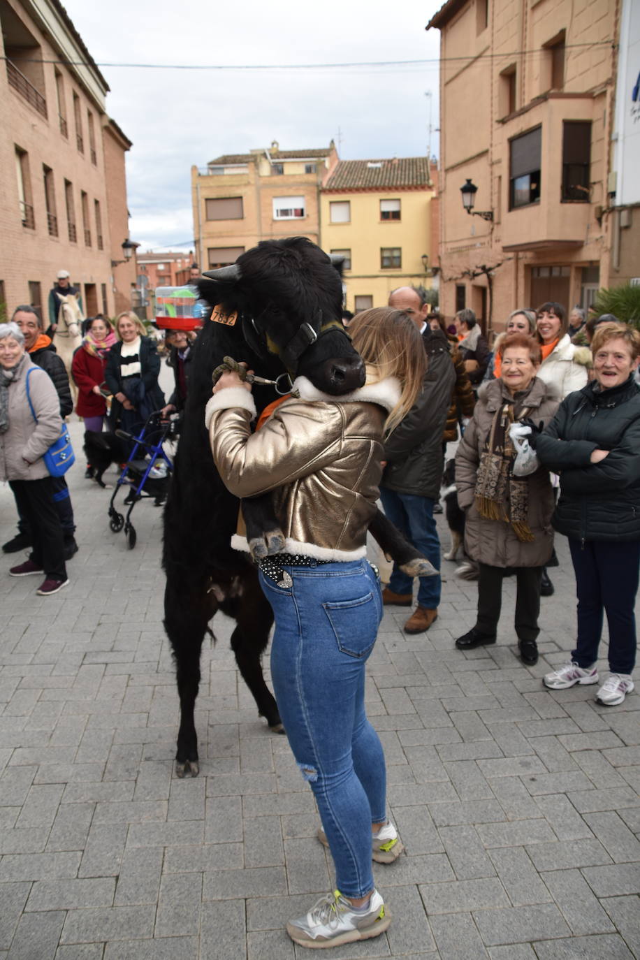 Bendición de animales por San Antón en Rincón de Soto