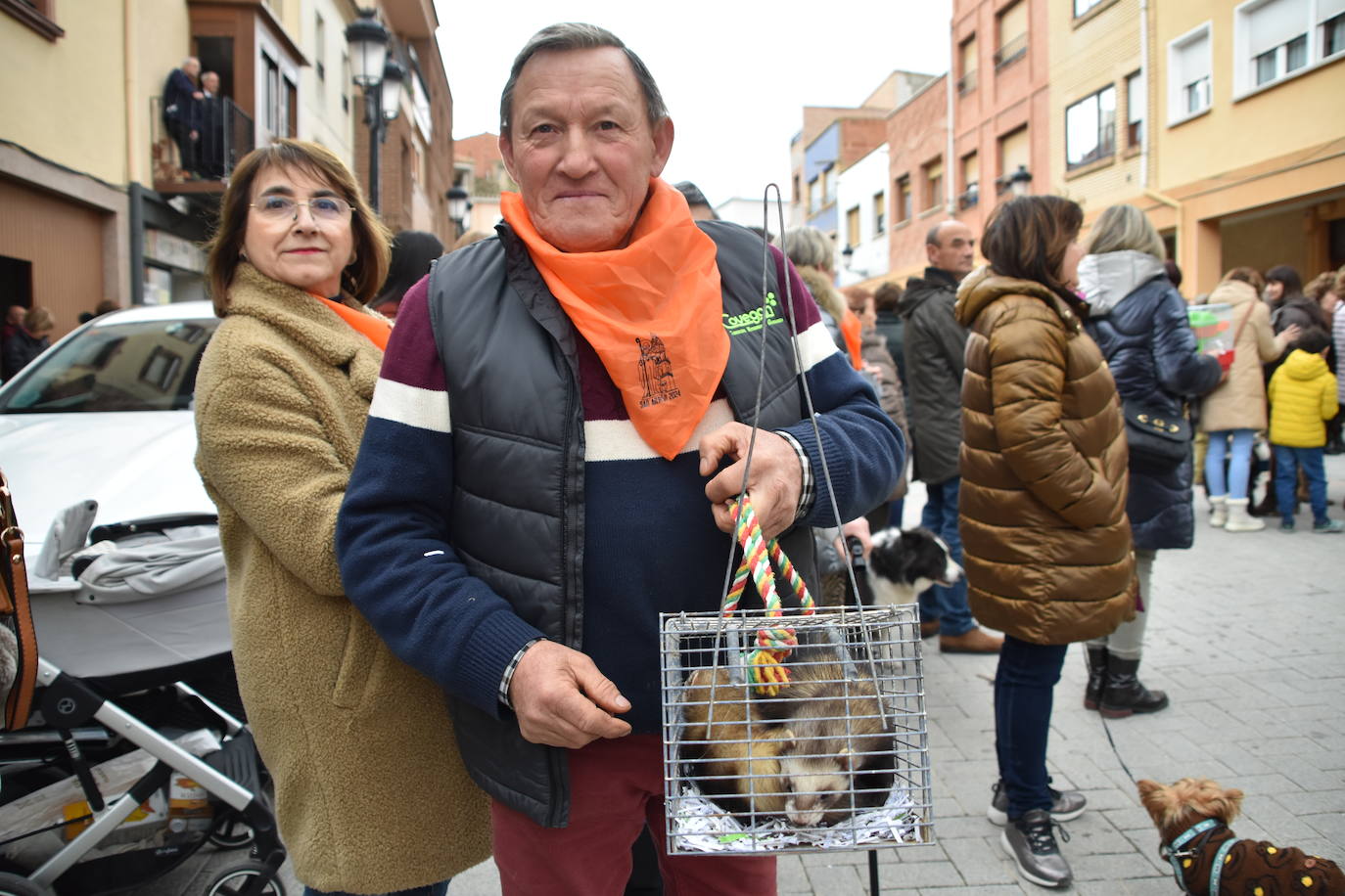 Bendición de animales por San Antón en Rincón de Soto