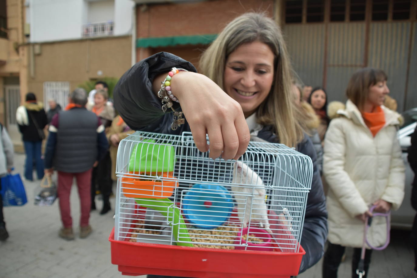 Bendición de animales por San Antón en Rincón de Soto