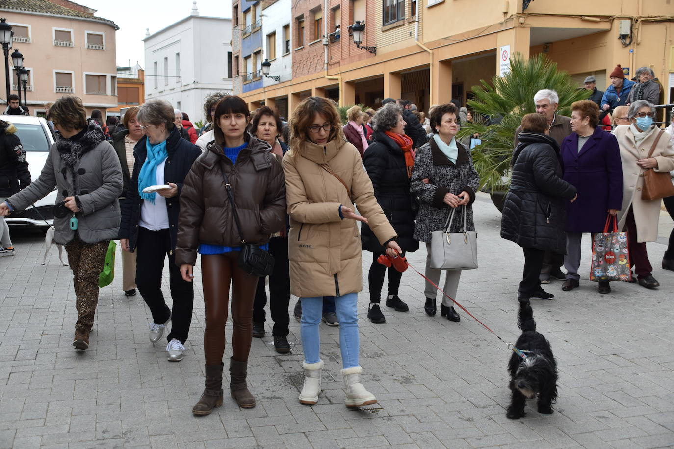 Bendición de animales por San Antón en Rincón de Soto