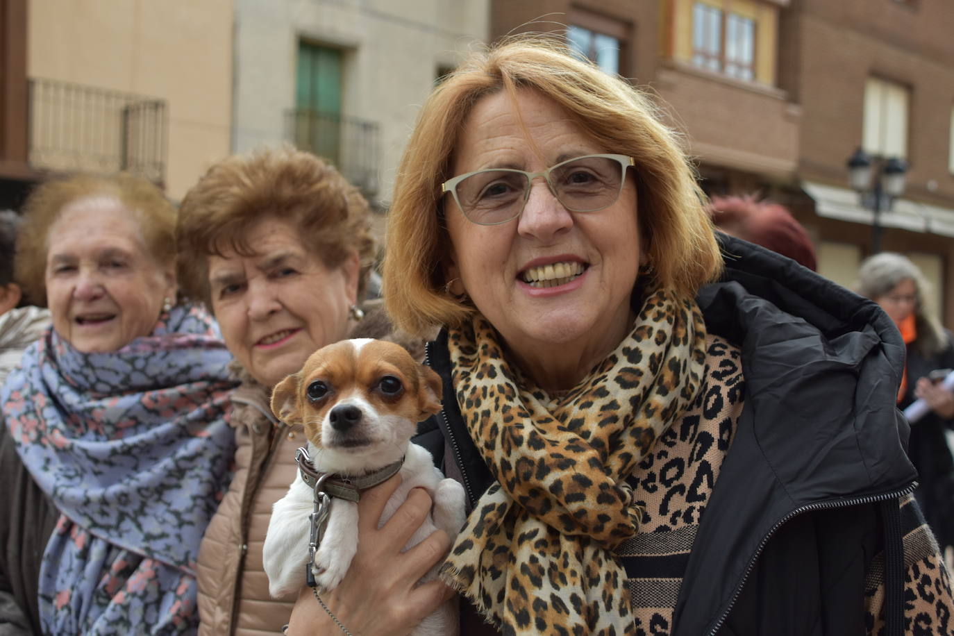 Bendición de animales por San Antón en Rincón de Soto