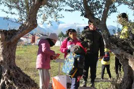 Varios corredores novatos comprueban una de las balizas del recorrido, situada entre olivos.