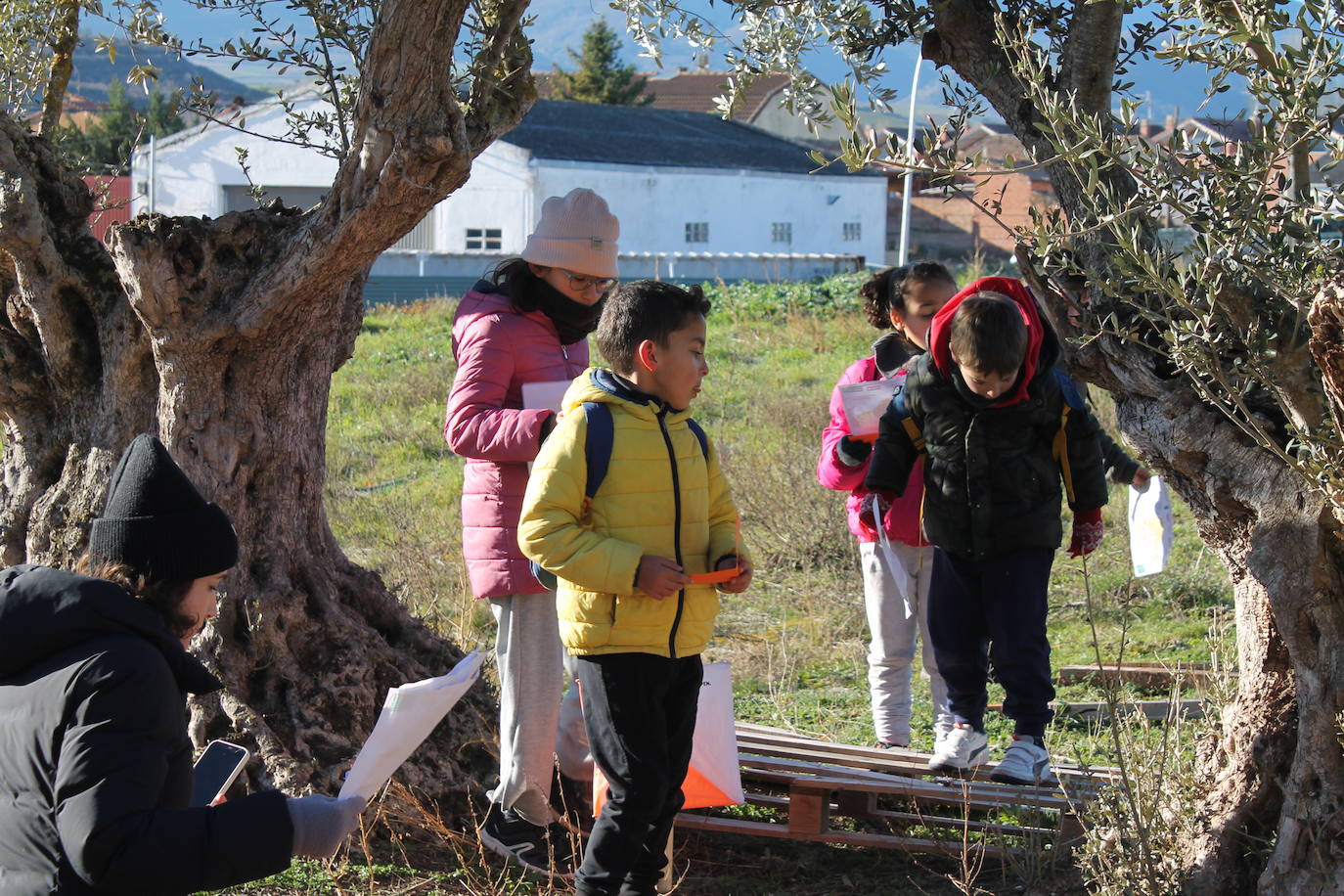 Carrera infantil de orientación en Badarán