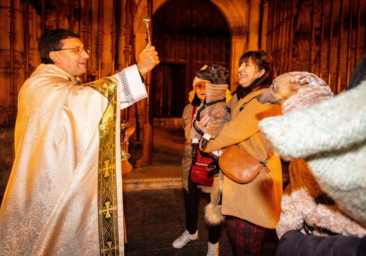 El párroco de la concatedral de La Redonda, Víctor Manuel Jiménez, bendice a unos perros con motivo de la celebración de San Antón el pasado miércoles.