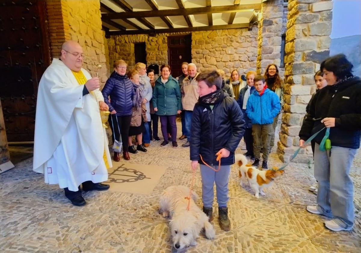 Bendición de mascotas en Laguna