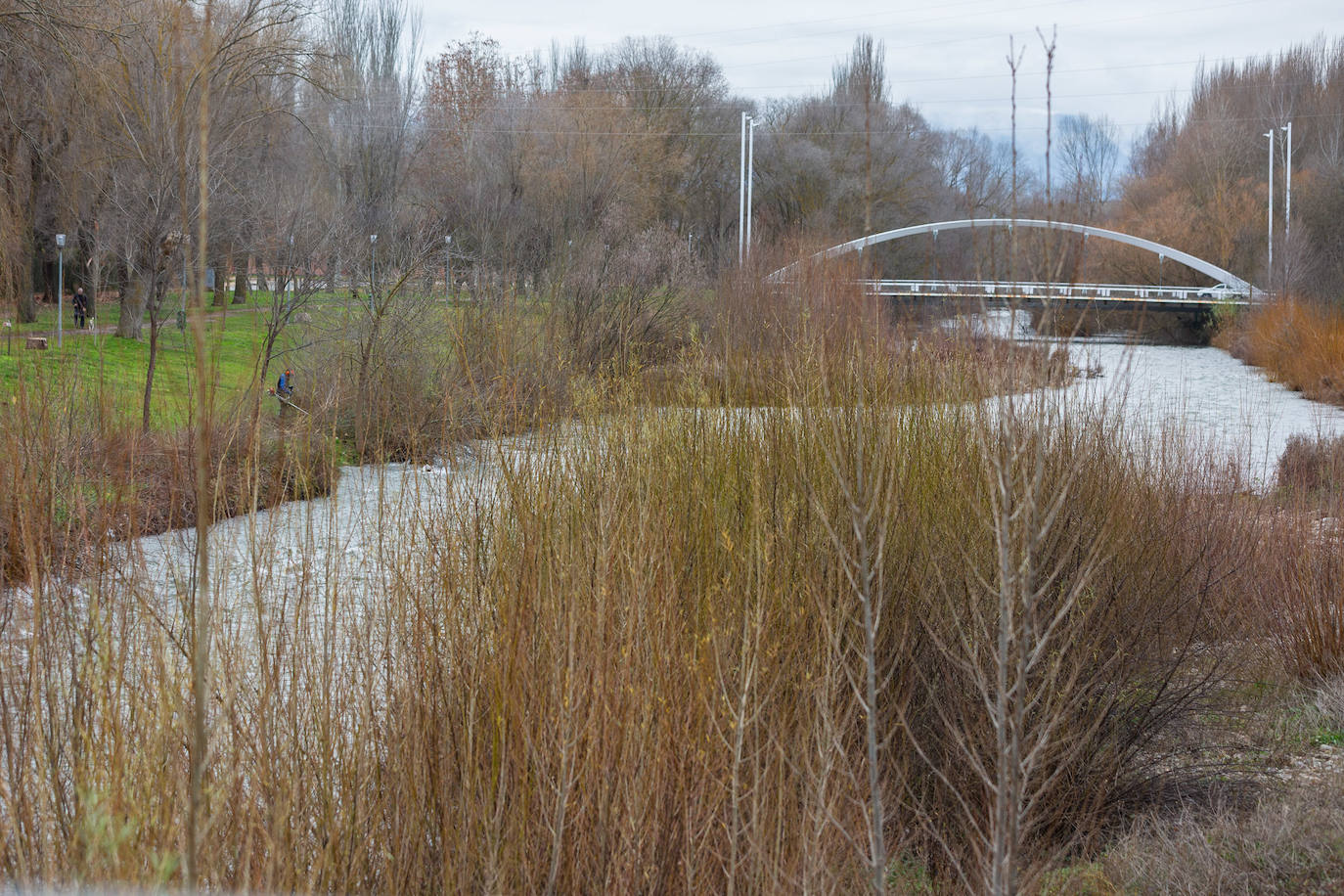 Ecologistas y pescadores alertan por la falta de agua en los ríos de La Rioja