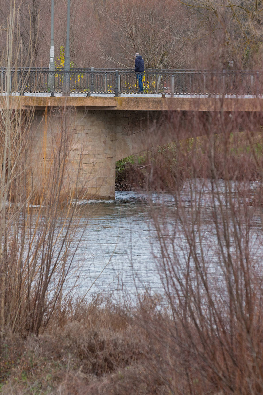 Ecologistas y pescadores alertan por la falta de agua en los ríos de La Rioja