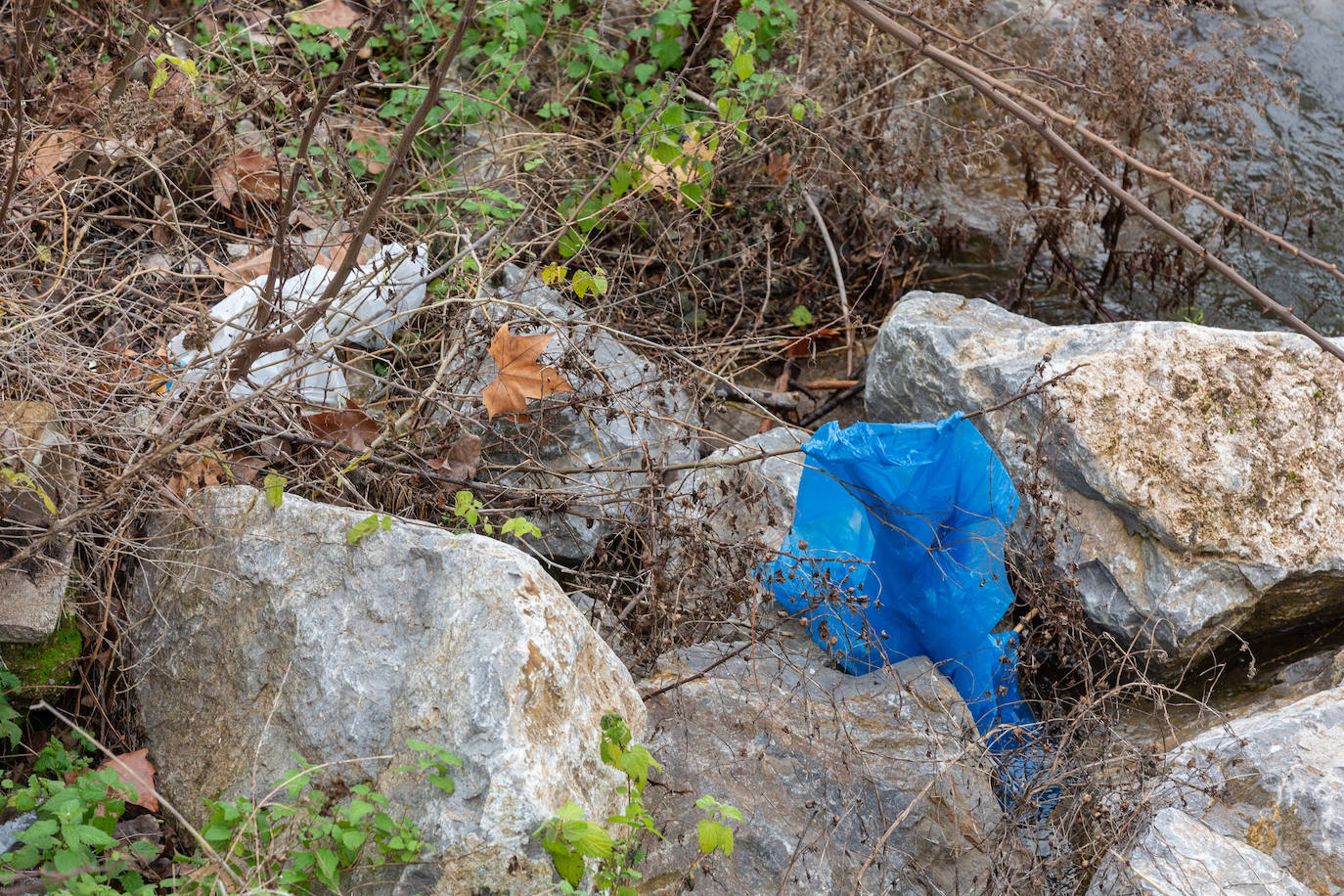 Ecologistas y pescadores alertan por la falta de agua en los ríos de La Rioja