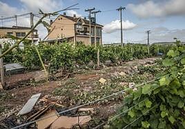Daños provocados por las fuertes lluvias del pasado mes de junio en la zona de Huércanos